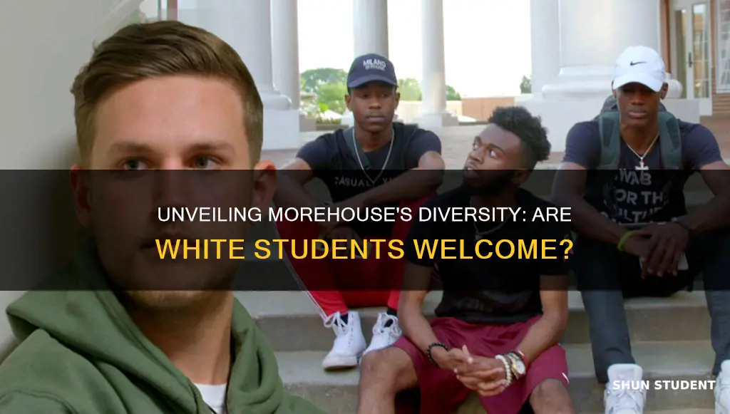 is there any white student in morehouse university