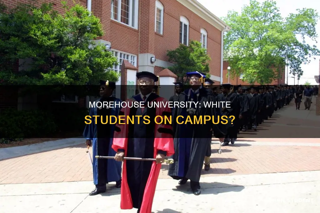 is there any white student in morehouse university