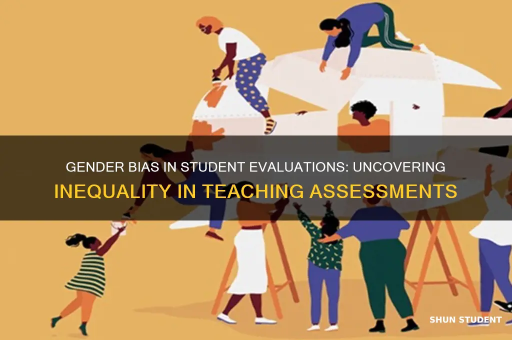 is there gender bias in student evaluations of teaching