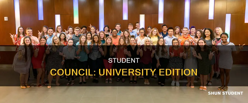 is there student council in university