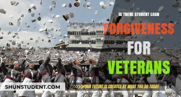 Veteran Student Loan Forgiveness: Exploring Options for Military Service Members
