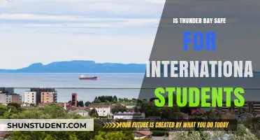 Thunder Bay: A Safe Haven for International Students?