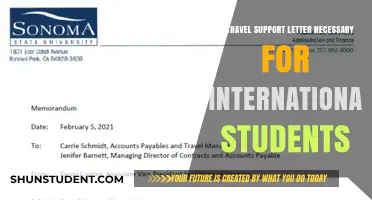 Travel Support Letters: Essential for International Students?