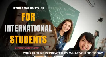 Trier: A Haven for International Students?