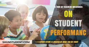 The Impact of Teacher Influence on Student Performance: A Deep Dive