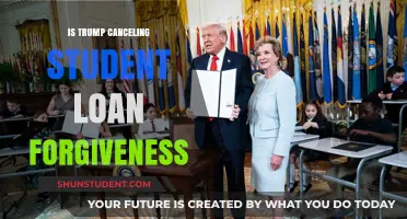 Trump's Impact: Is Student Loan Forgiveness at Risk?