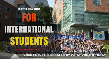 Tufts' Need-Blind Policy: Does It Include International Students?