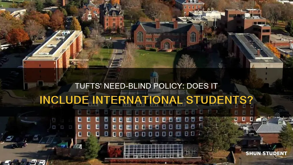 is tufts need blind for international students