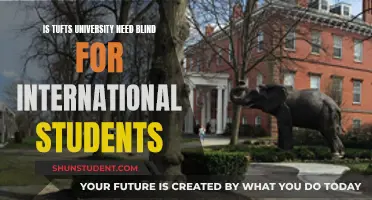 Tufts University's International Student Selection: A Need-Blind Approach?