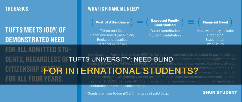 is tufts university need blind for international students