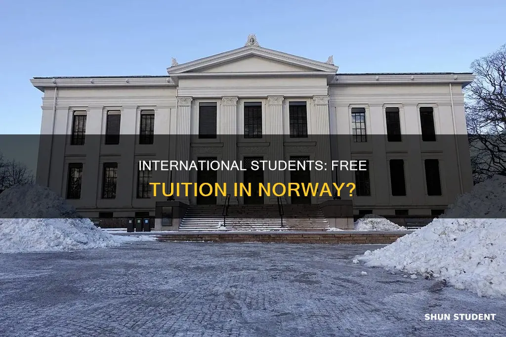 is tuition fee free in norway for international students