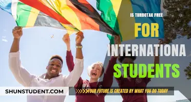 How International Students Can File Taxes with TurboTax for Free
