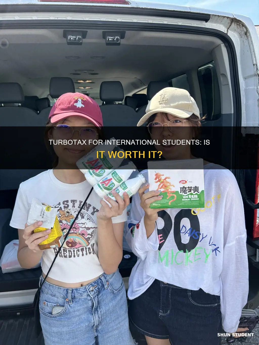 is turbotax good for international students
