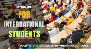 Turkey: A Smart Choice for International Students?
