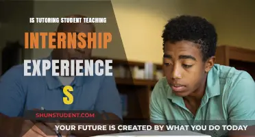 Tutoring as Student Teaching: Valuable Internship Experience or Not?