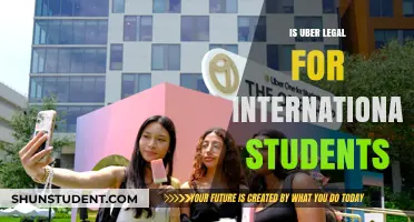 International Students: Can They Drive for Uber?