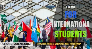 The UK: A Top Destination for International Students?