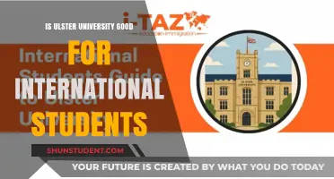 Ulster University: A Haven for International Students?