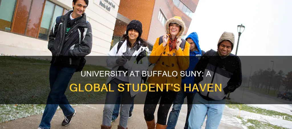is university at buffalo suny good for international students