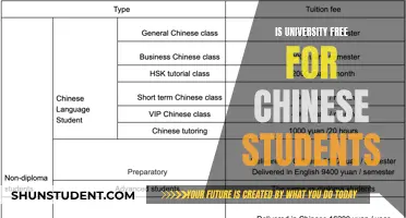 Unlocking Chinese Student's University Access: Free Education Insights