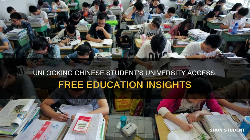 is university free for chinese students