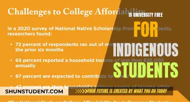 University Tuition: Indigenous Students' Access to Free Education