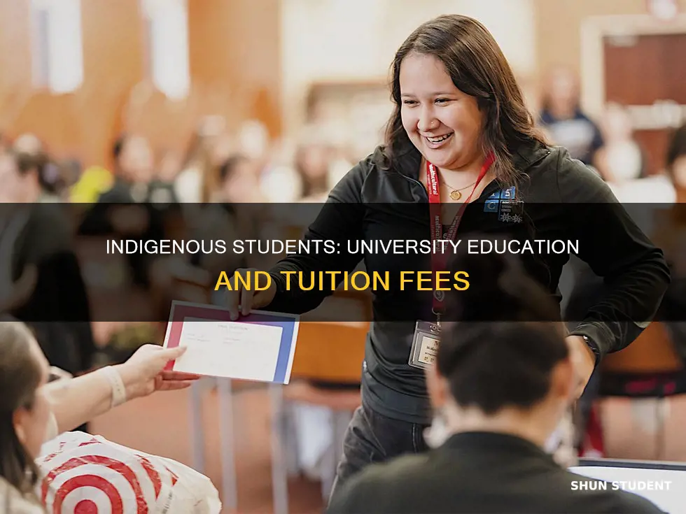 is university free for indigenous students