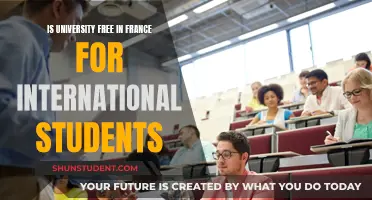 Unlocking French Education: International Student Tuition Insights