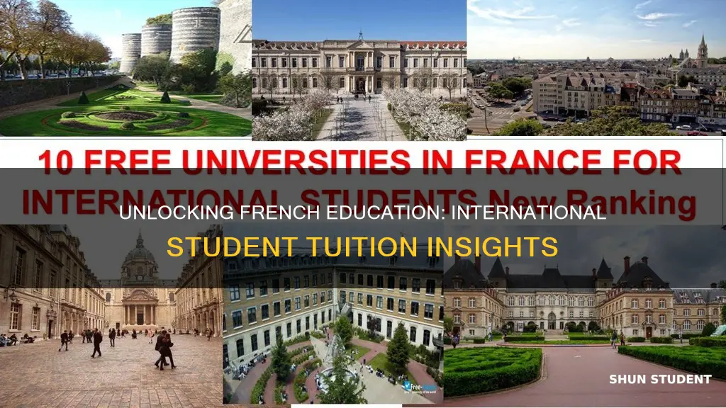 is university free in france for international students