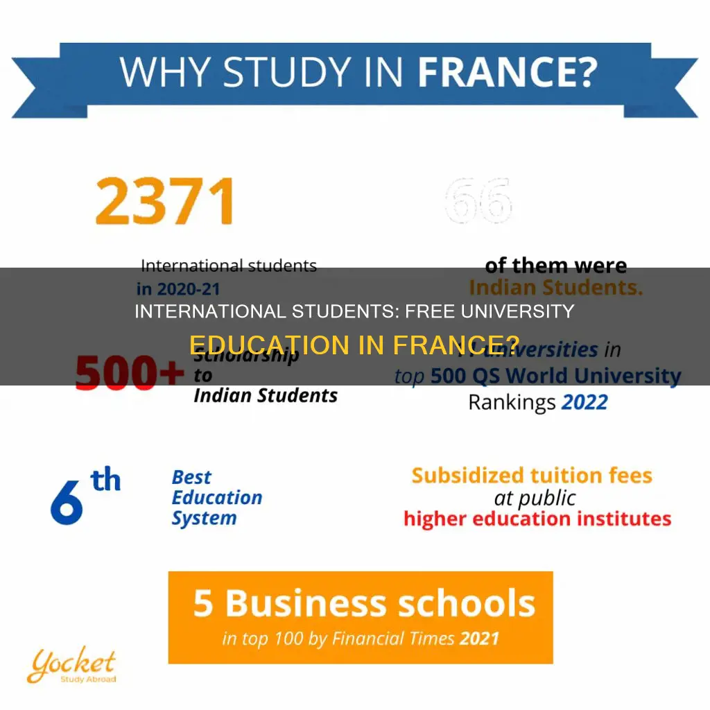 is university free in france for international students