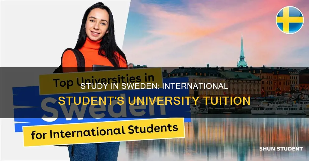 is university free in sweden for international students