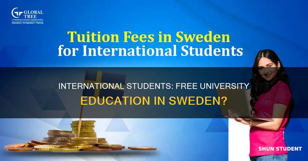 is university free in sweden for international students