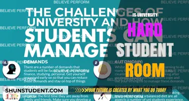 University Challenges: Student Room Struggles