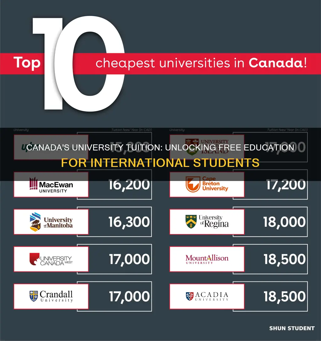 is university in canada free for international students