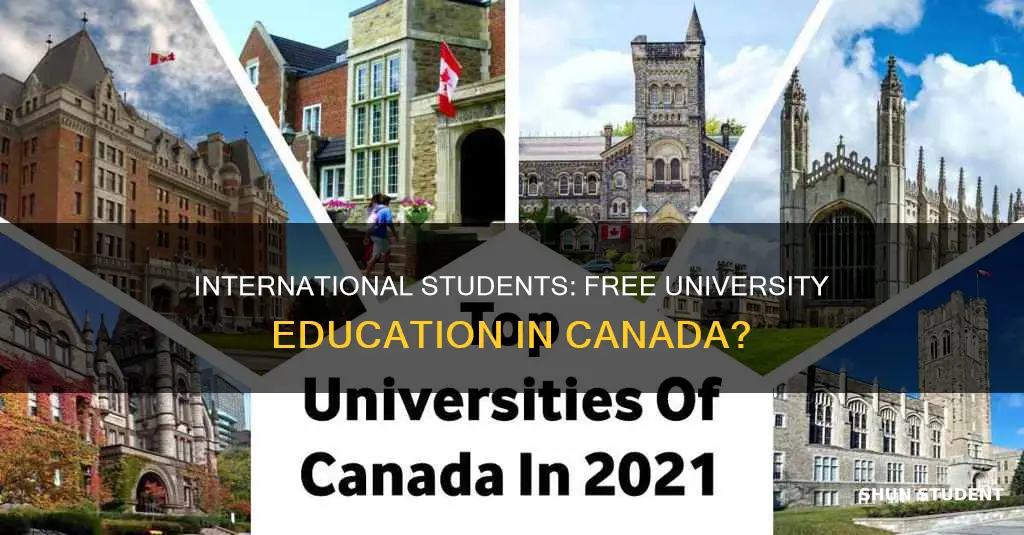 is university in canada free for international students
