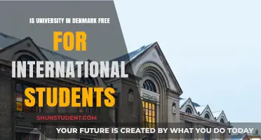International Students: Free University Education in Denmark?