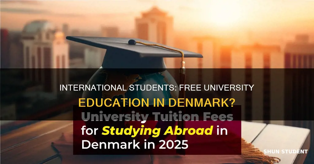 is university in denmark free for international students