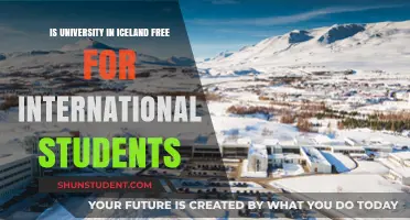 Iceland's University Fees: Free for International Students?