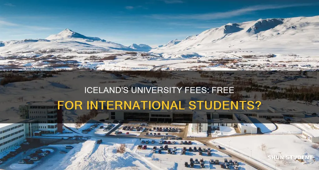 is university in iceland free for international students