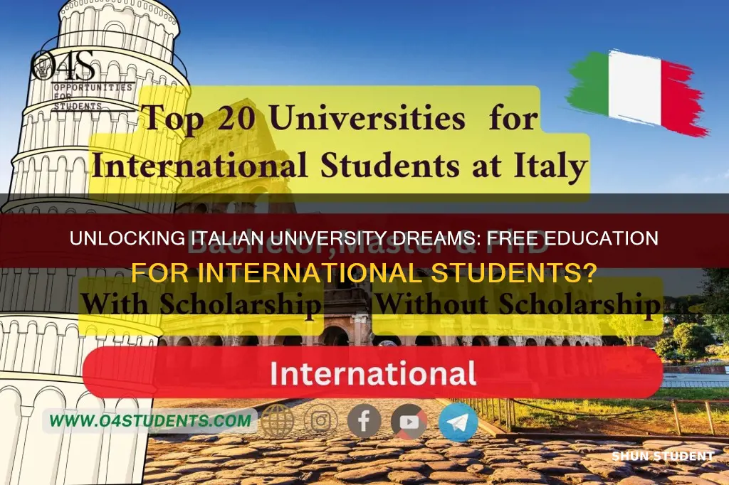 is university in italy free for international students