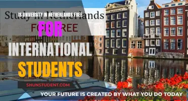 Unlocking Dutch Education: International Student's Guide to Free University