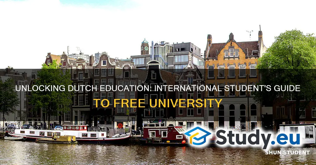 is university in netherlands free for international students