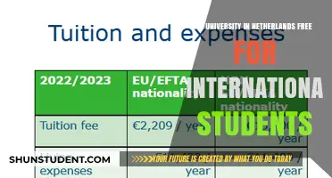 Studying in the Netherlands: Free for International Students?