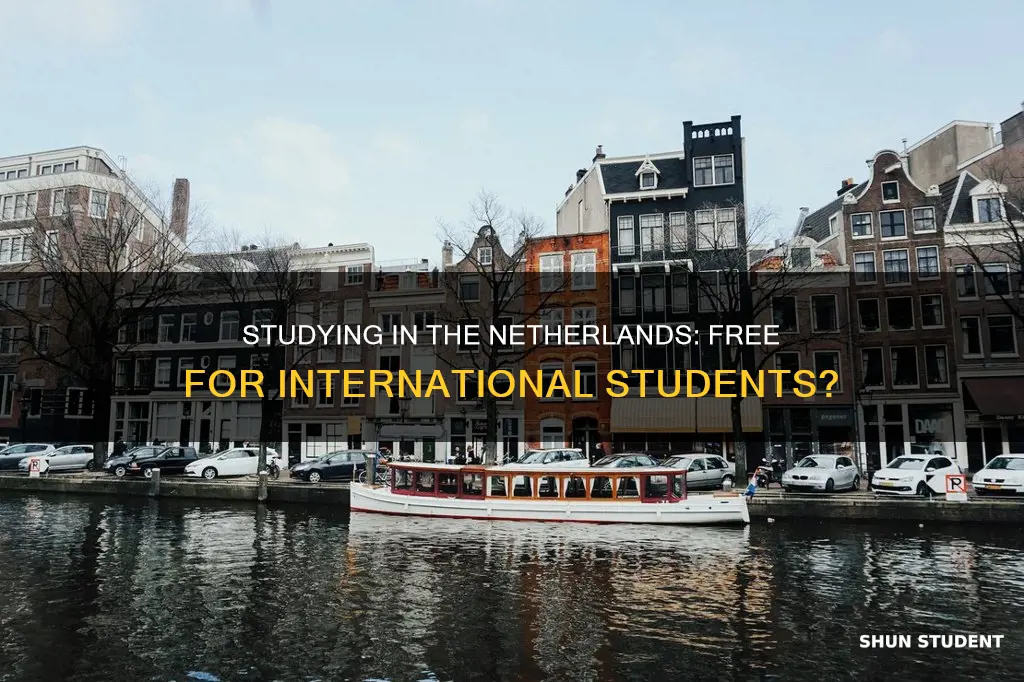 is university in netherlands free for international students