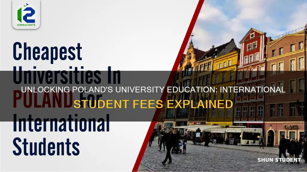 is university in poland free for international students