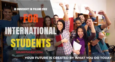 Free University Education in Poland: Available for International Students?