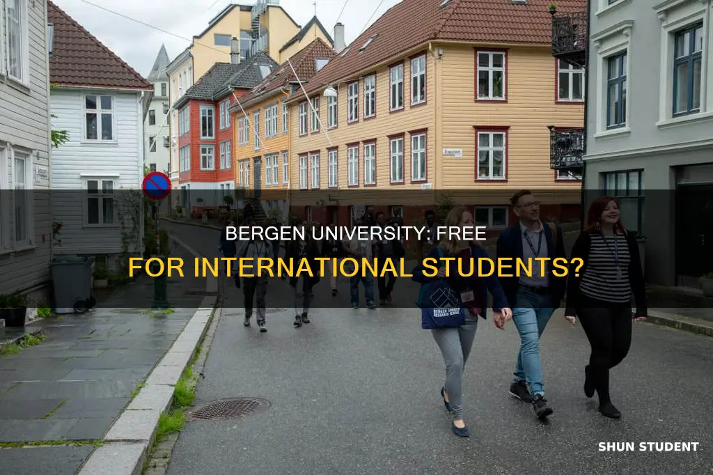 is university of bergen free for international students