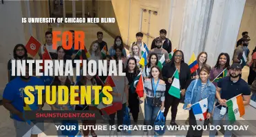 Chicago University: Need-Blind for International Students?