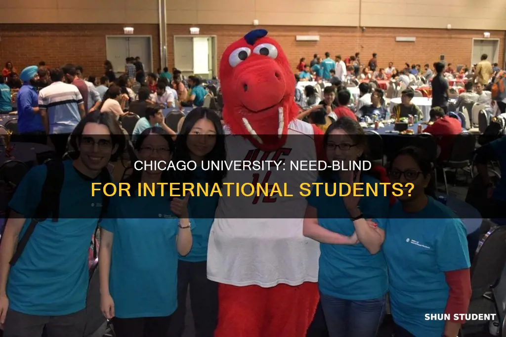 is university of chicago need blind for international students