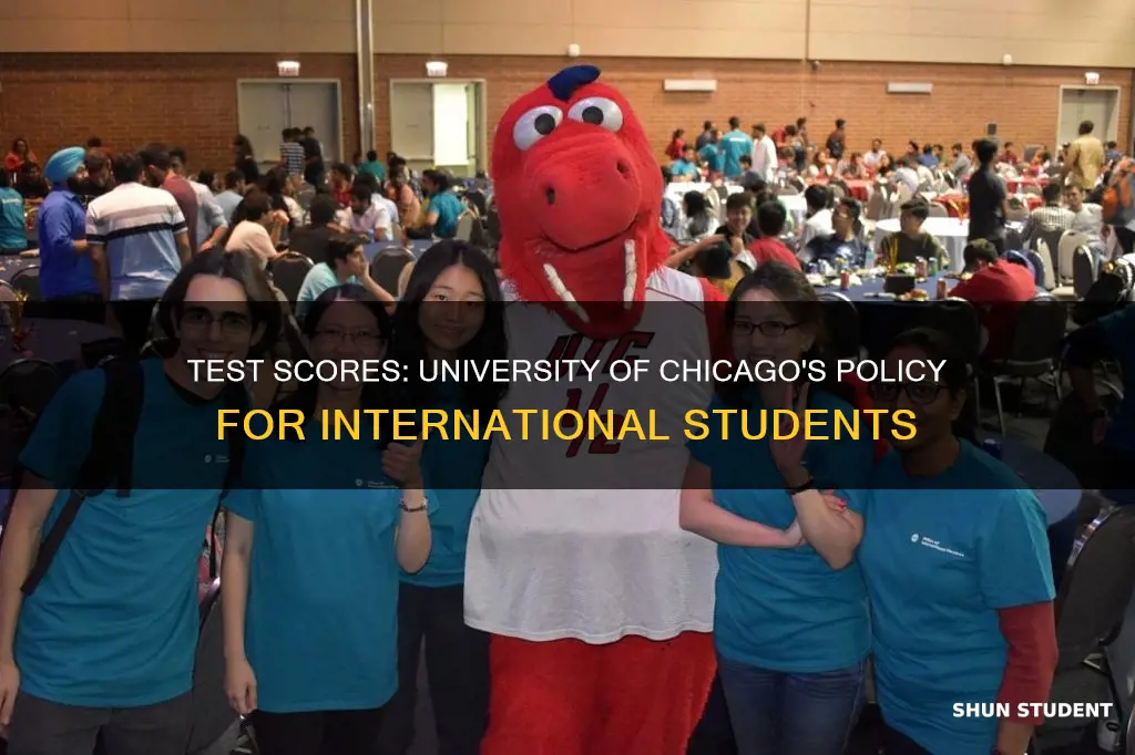 is university of chicago test optional for international students